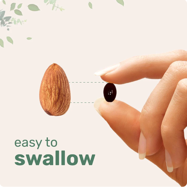 Organic Ceylon Cinnamon + MCT Oil Softgels.